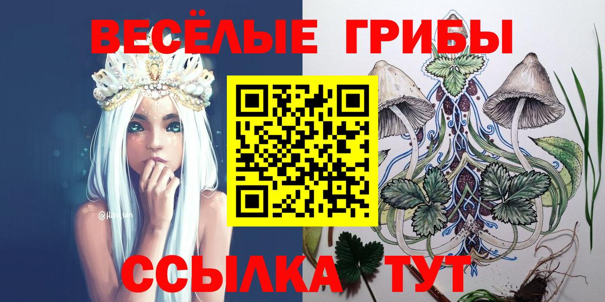 Галлюциногенные грибы MAGIC MUSHROOMS  Вход с VPN  Галлюциногенные грибы прущие грибы  Сызрань 