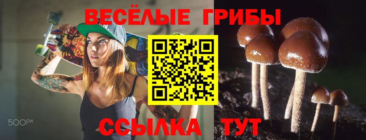 Галлюциногенные грибы Psilocybine cubensis Сызрань